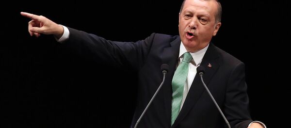 土耳其總統粗暴回應德國外長的批評 - 俄羅斯衛星通訊社