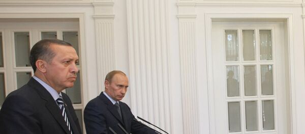 普京与埃尔多安讨论俄土关系及叙利亚局势 - 俄罗斯卫星通讯社