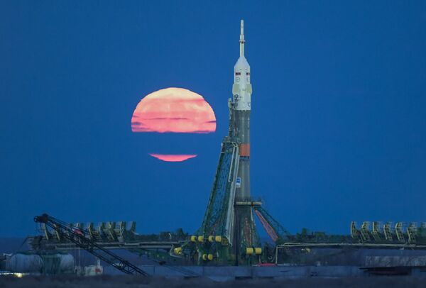 衛星新聞網11月最佳照片 - 俄羅斯衛星通訊社