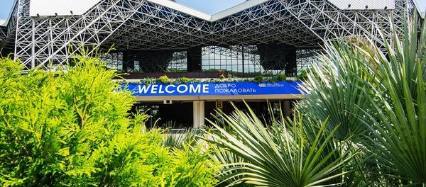 志愿者将在索契机场迎接中国游客 - 俄罗斯卫星通讯社