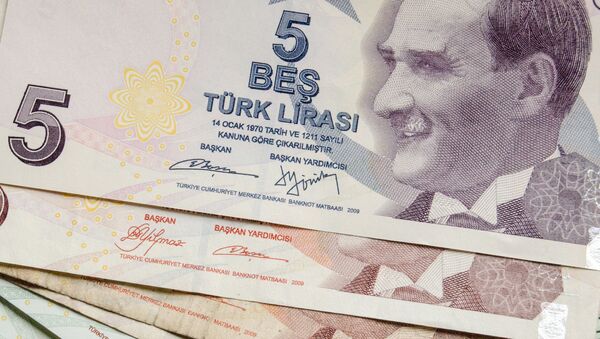 土耳其总统称已提议俄罗斯在双边贸易中改用本币结算 - 俄罗斯卫星通讯社