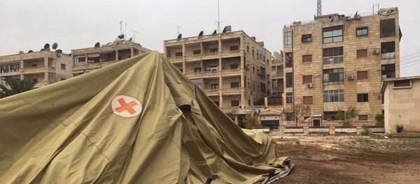 俄罗斯要求国际社会谴责针对在阿勒颇俄军医务人员的谋杀 - 俄罗斯卫星通讯社