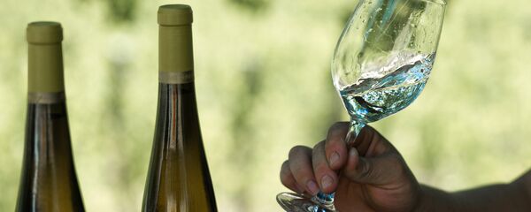 葡萄酒 - 俄罗斯卫星通讯社