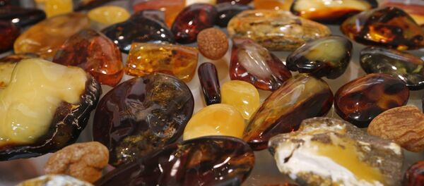 琥珀 琥珀 - 俄罗斯卫星通讯社