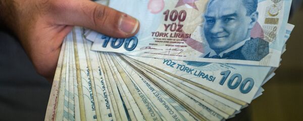 俄土央行开始研究改用本币结算的技术性问题 俄土央行开始研究改用本币结算的技术性问题 - 俄罗斯卫星通讯社