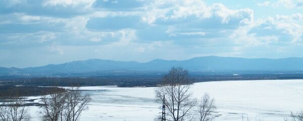 俄方向中方發出共同開發大烏蘇里島的具體建議 - 俄羅斯衛星通訊社