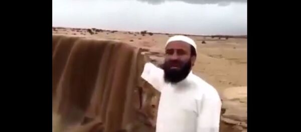 沙特也有“尼加拉瓜大瀑布”！ - 俄羅斯衛星通訊社