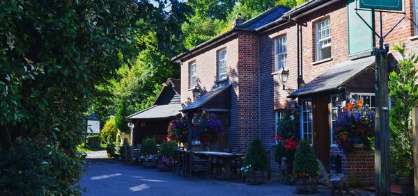 The Plough at Cadsden - 俄罗斯卫星通讯社