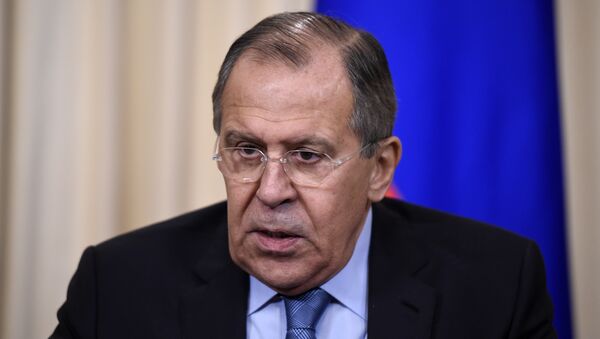 拉夫罗夫向法国外长表示阿斯塔纳叙利亚问题会谈应补充日内瓦会谈 - 俄罗斯卫星通讯社