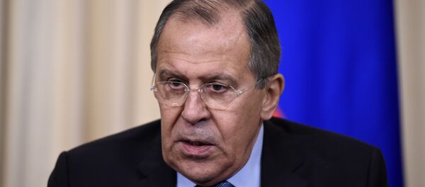 俄外长：俄美合作取决于美国新政府对国家利益的理解 - 俄罗斯卫星通讯社