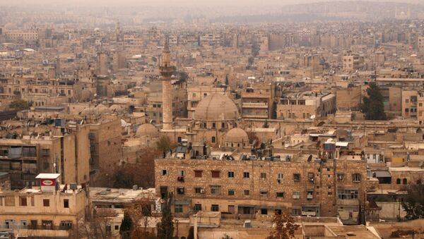 Вид исторического центра Алеппо, 2009 год - 俄罗斯卫星通讯社