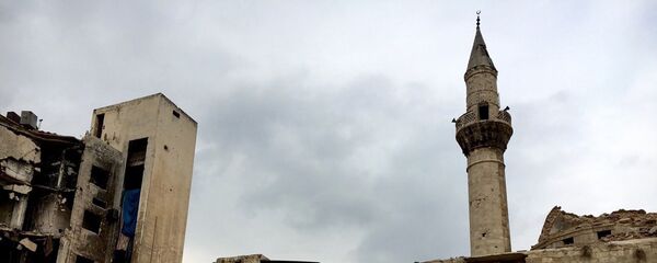 叙反对派称俄美为武装分子撤离阿勒颇提出了一条安全通道 叙反对派称俄美为武装分子撤离阿勒颇提出了一条安全通道 - 俄罗斯卫星通讯社