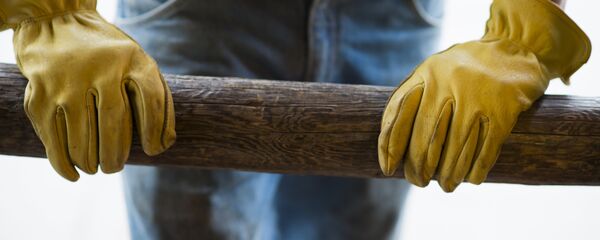 捷克是欧盟中失业率最低的国家 捷克是欧盟中失业率最低的国家 - 俄罗斯卫星通讯社