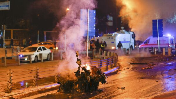 在伊斯坦布尔的爆炸已造成29人死亡 - 俄罗斯卫星通讯社