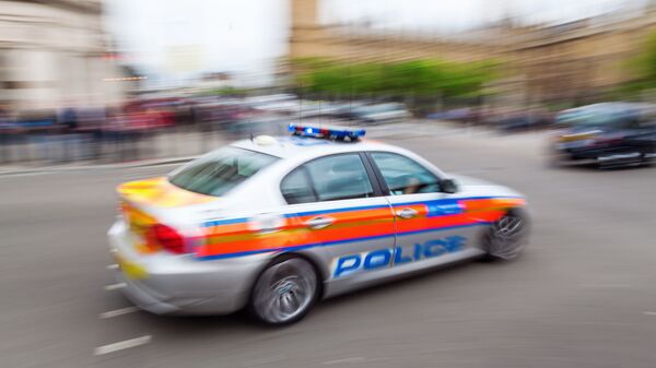 伦敦警方：抓捕5名涉嫌筹备实施恐袭活动的人员 - 俄罗斯卫星通讯社