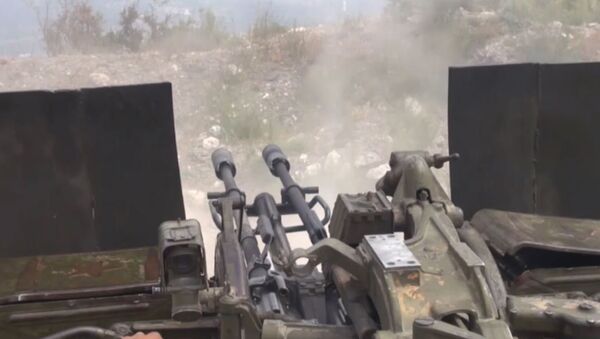 叙利亚军队在伊德利卜区的军事行动开展顺利 - 俄罗斯卫星通讯社