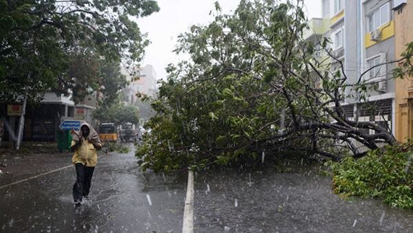 印度風暴“瓦達”中遇難人數升至10名 - 俄羅斯衛星通訊社