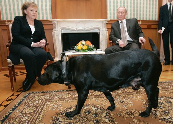 德國總理安格拉•默克爾與俄羅斯總統普京 - 俄羅斯衛星通訊社
