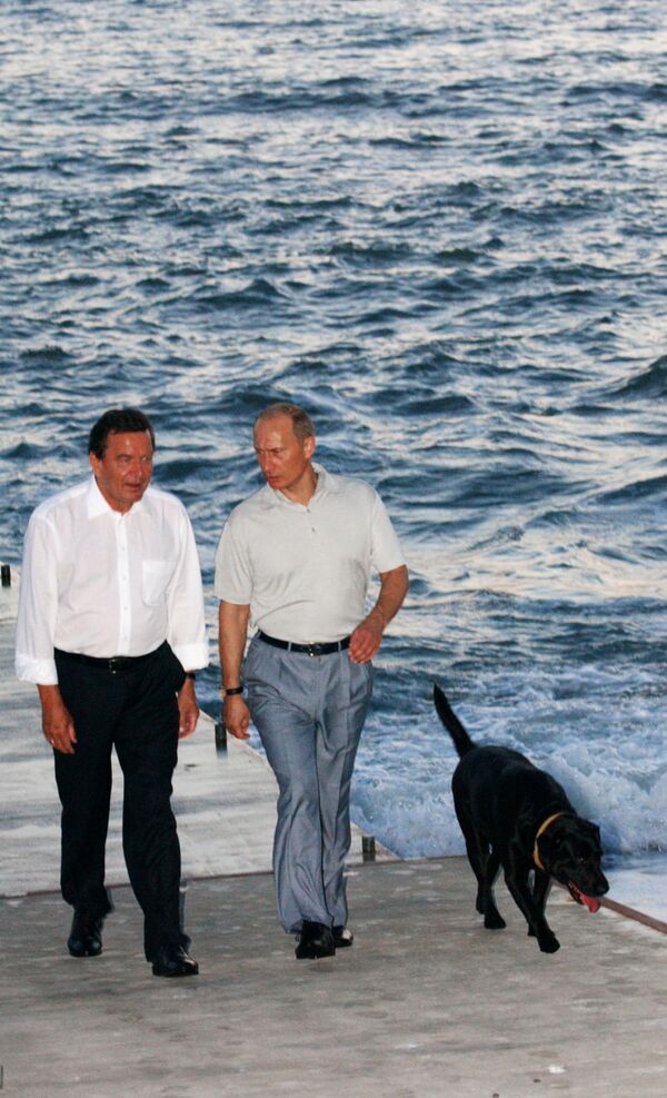 弗拉基米爾•普京與德國前總理格哈特•施羅德在索契舉行非正式會晤。 - 俄羅斯衛星通訊社
