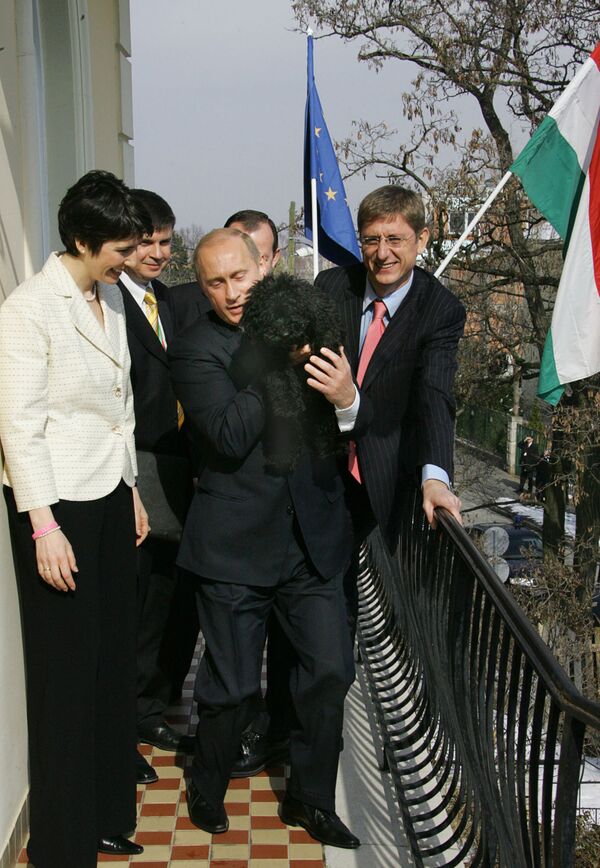 俄總統抱著匈牙利前總理弗倫茨•久爾恰尼的狗狗。 - 俄羅斯衛星通訊社