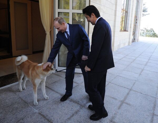 俄羅斯總統弗拉基米爾•普京與日本首相安倍晉三 - 俄羅斯衛星通訊社