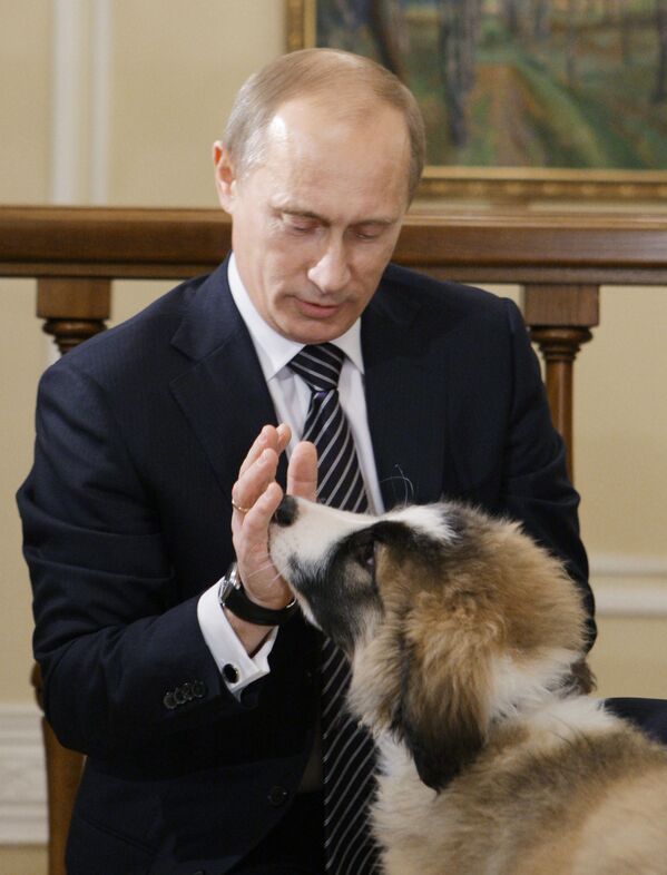弗拉基米爾•普京與愛犬“巴菲” - 俄羅斯衛星通訊社
