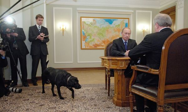 弗拉基米爾•普京會見科米共和國行政長官弗拉基米爾•托爾洛波夫時帶著拉布拉多“科尼”。 - 俄羅斯衛星通訊社