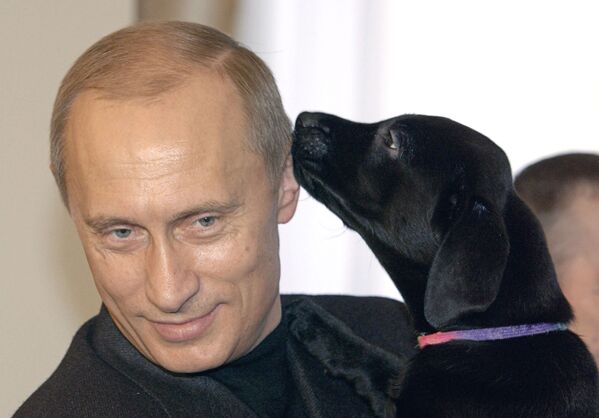 俄總統普京與愛犬“科尼” - 俄羅斯衛星通訊社