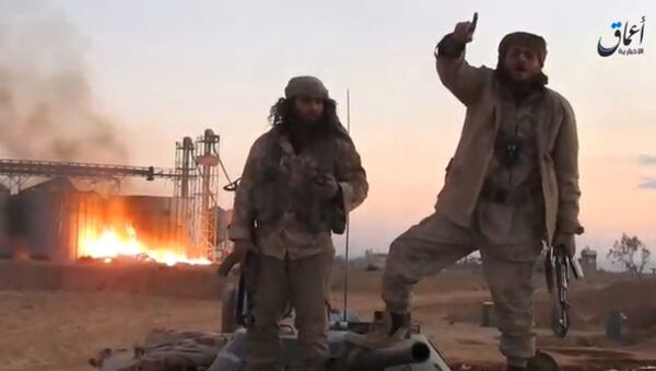 电视台：三名马来西亚籍ISIS成员在叙利亚空袭行动中被消灭 - 俄罗斯卫星通讯社