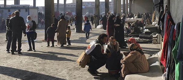 阿勒颇 - 俄罗斯卫星通讯社