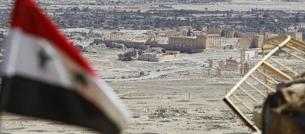 叙利亚 叙利亚 - 俄罗斯卫星通讯社