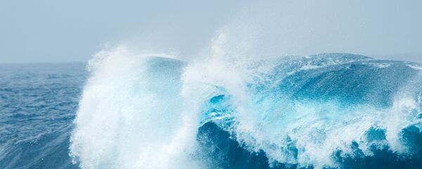 Волны Волны - 俄羅斯衛星通訊社