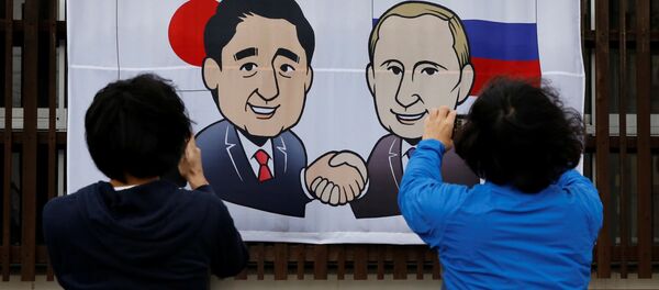 日本专家：日俄首次在不涉及岛屿主权前提下确定两国关系发展的目标 - 俄罗斯卫星通讯社