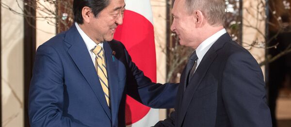 東京認為需在日俄領導人會晤前把聯合項目制定完畢 - 俄羅斯衛星通訊社