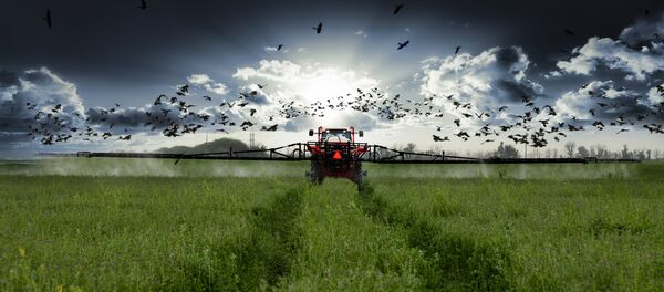 普京：農工系統是俄最蓬勃發展的經濟領域之一 - 俄羅斯衛星通訊社