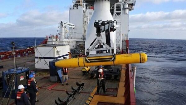 美国希望在南海被扣的潜航器能被尽快归还 - 俄罗斯卫星通讯社