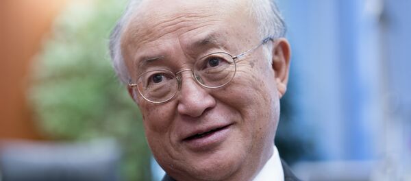 国际原子能机构总干事天野 - 俄罗斯卫星通讯社