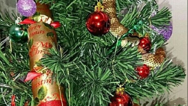 澳大利亞一女子在自家聖誕樹上發現毒蛇 盤繞似花環 - 俄羅斯衛星通訊社