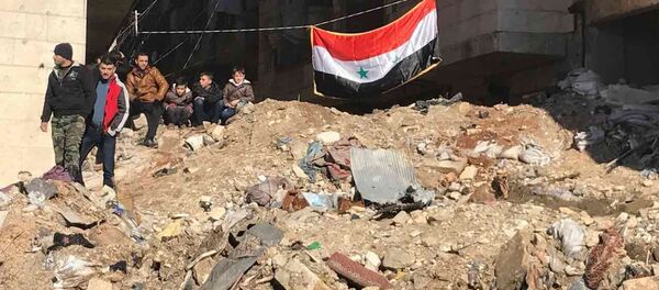 中國專家：敘利亞的停火與和談需要俄美的“保駕護航” - 俄羅斯衛星通訊社