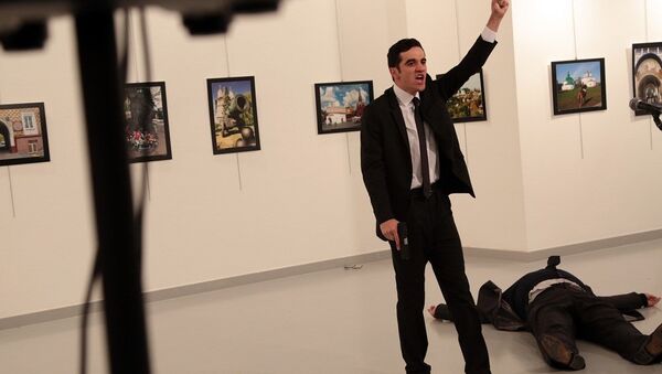 俄外交部證實俄羅斯駐土耳其大使受槍傷 - 俄羅斯衛星通訊社