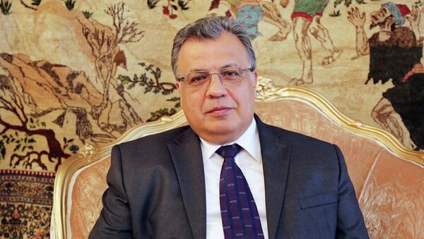 土耳其議會議長：俄駐土大使被刺殺案的調查仍在繼續 - 俄羅斯衛星通訊社