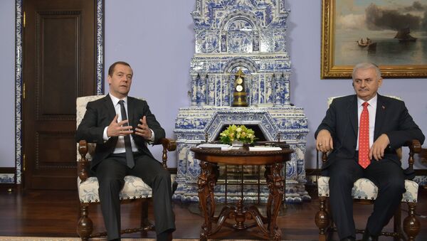 俄罗斯总理梅德韦杰夫与土耳其总理耶尔德勒姆 - 俄罗斯卫星通讯社