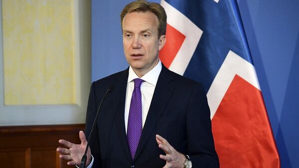 挪威外交大臣布兰德 - 俄罗斯卫星通讯社
