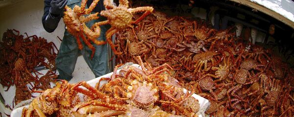 中國東寧口岸首次進口2000余只俄羅斯鮮活帝王蟹 - 俄羅斯衛星通訊社