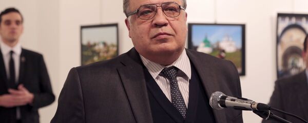 刺杀卡尔洛夫的凶手还可能刺杀美国驻土大使巴斯 - 俄罗斯卫星通讯社