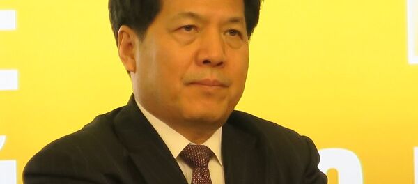 李辉 - 俄罗斯卫星通讯社