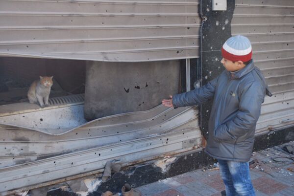 尤希阿 尤希阿 - 俄罗斯卫星通讯社