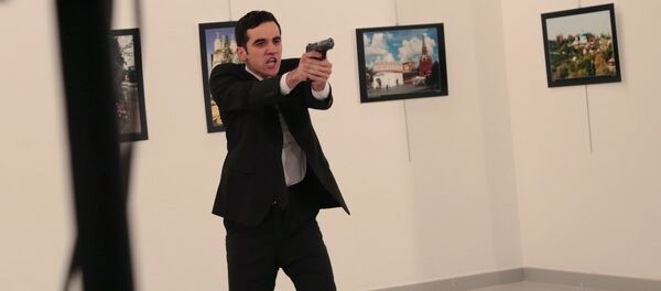 俄罗斯驻土耳其大使遇刺身亡 - 俄罗斯卫星通讯社