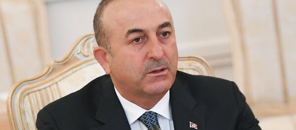 土外长:俄驻安卡拉大使馆所在街道将以安德烈·卡尔洛夫命名 土外长:俄驻安卡拉大使馆所在街道将以安德烈·卡尔洛夫命名 - 俄罗斯卫星通讯社