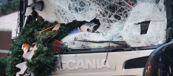 柏林 - 俄罗斯卫星通讯社